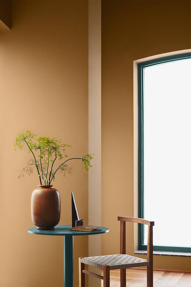 Image of DIJON YELLOW