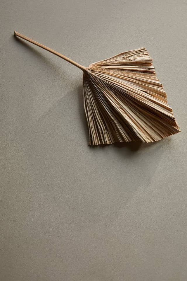 Image of SABLE STONE