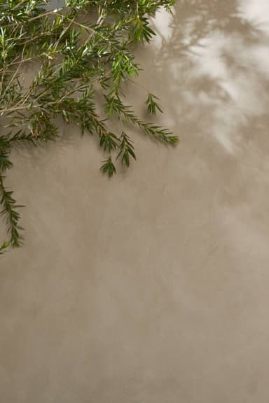 SABLE STONE thumbnail 2