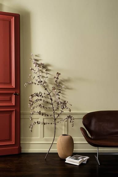 MEDITERRANEAN OLIVE thumbnail 1