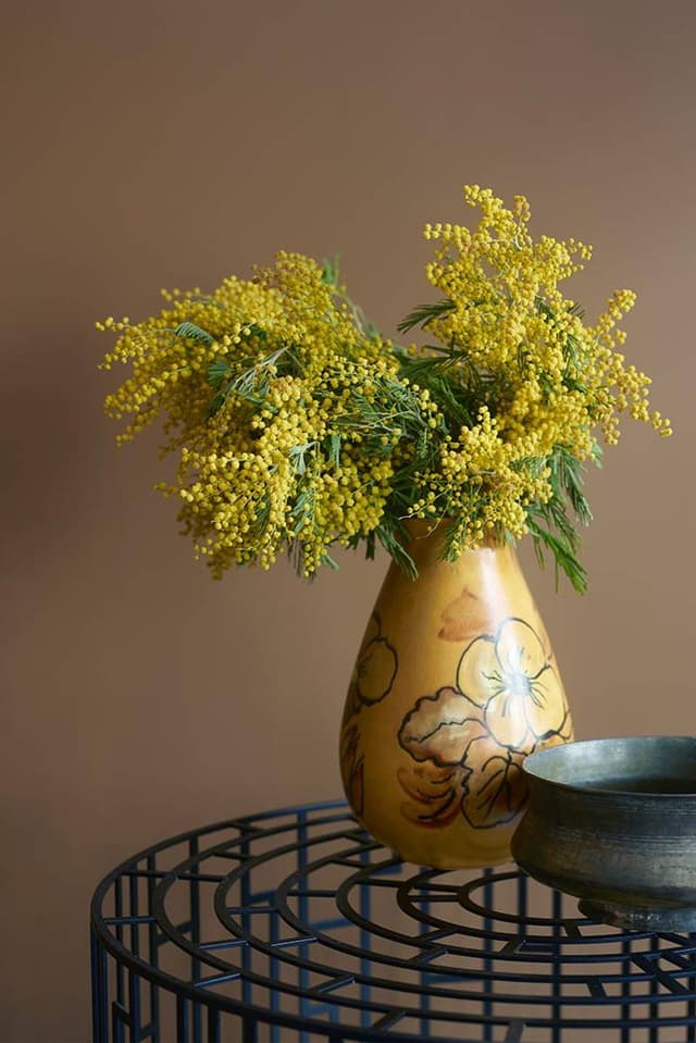 Image of OLIVE BROWN