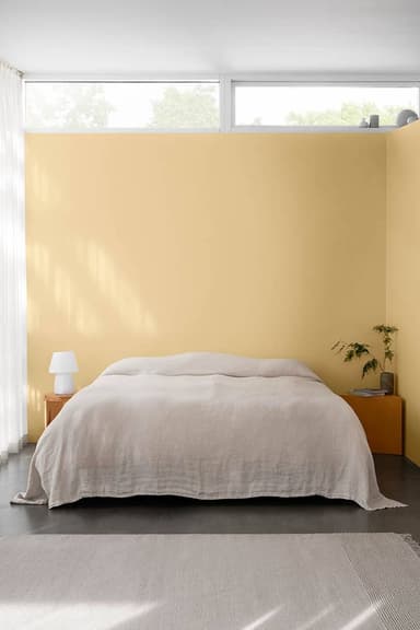 CHEERFUL PEACH thumbnail 2