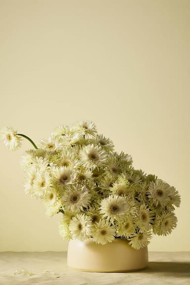 FRESH PASTA thumbnail 2