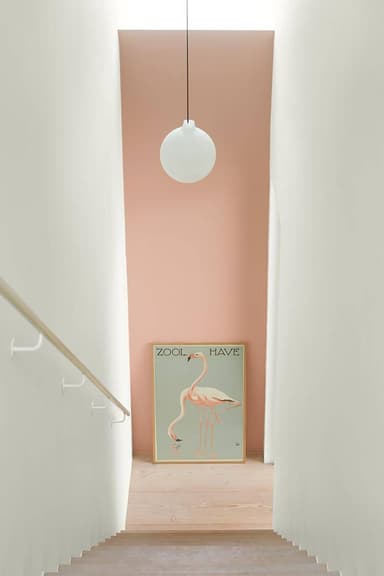 DELIGHTFUL PINK thumbnail 3