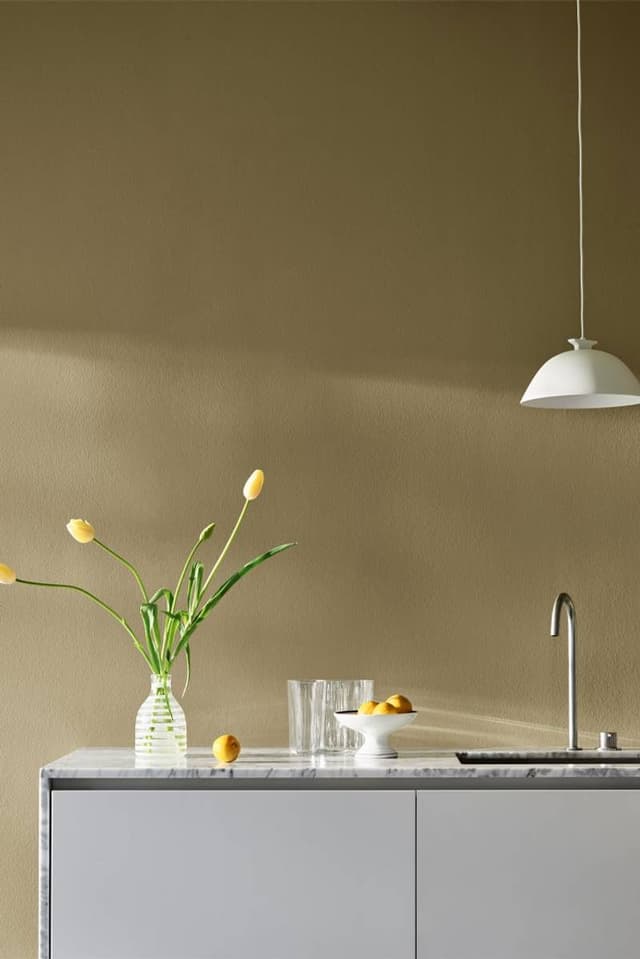 Image of KHAKI YELLOW